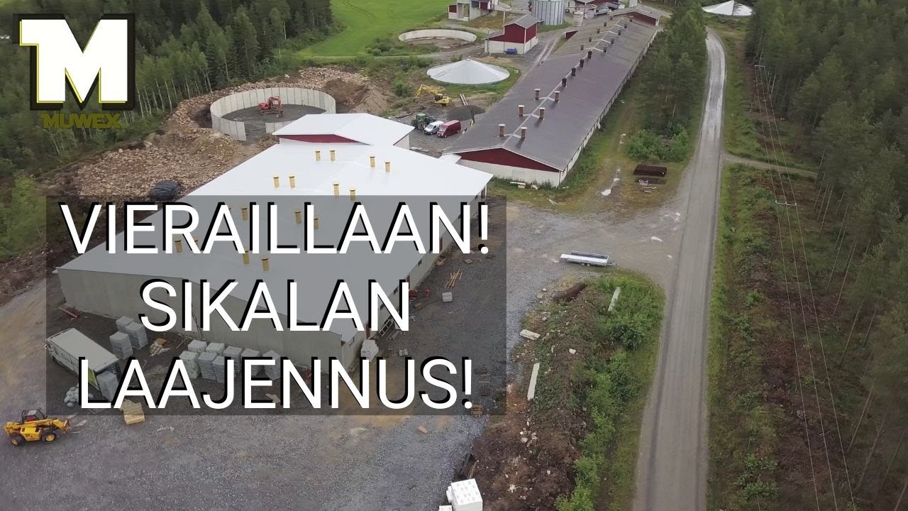 Vierailaan Pyylammen tilalla - Lihasikatila - Uutta sikalapuolta