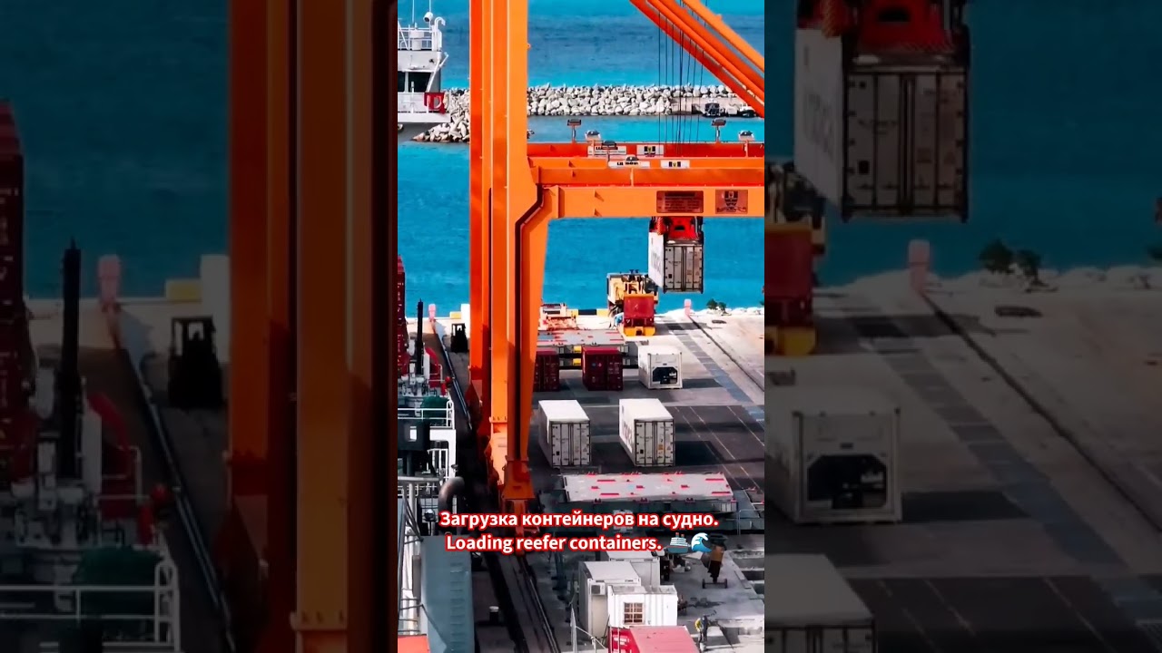 Загрузка контейнеров на судно. Loading refrigerated cargo containers 🚢🌊 #shorts #shortvideo #ship