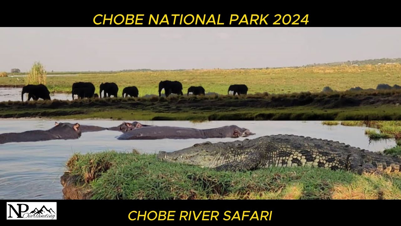 River safari @ Chobe National Park # Wild Enimals (Kasane)Botswana travel adventures and camping.
