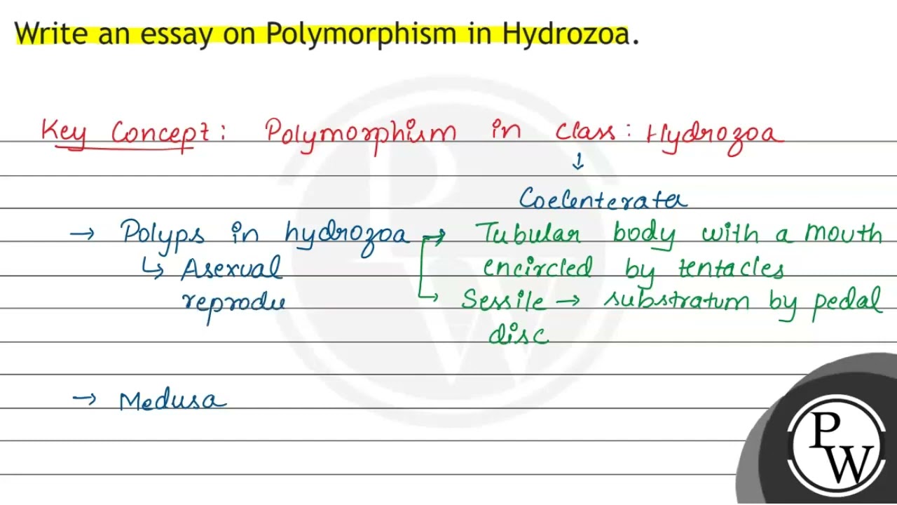 Write an essay on Polymorphism in Hydrozoa.