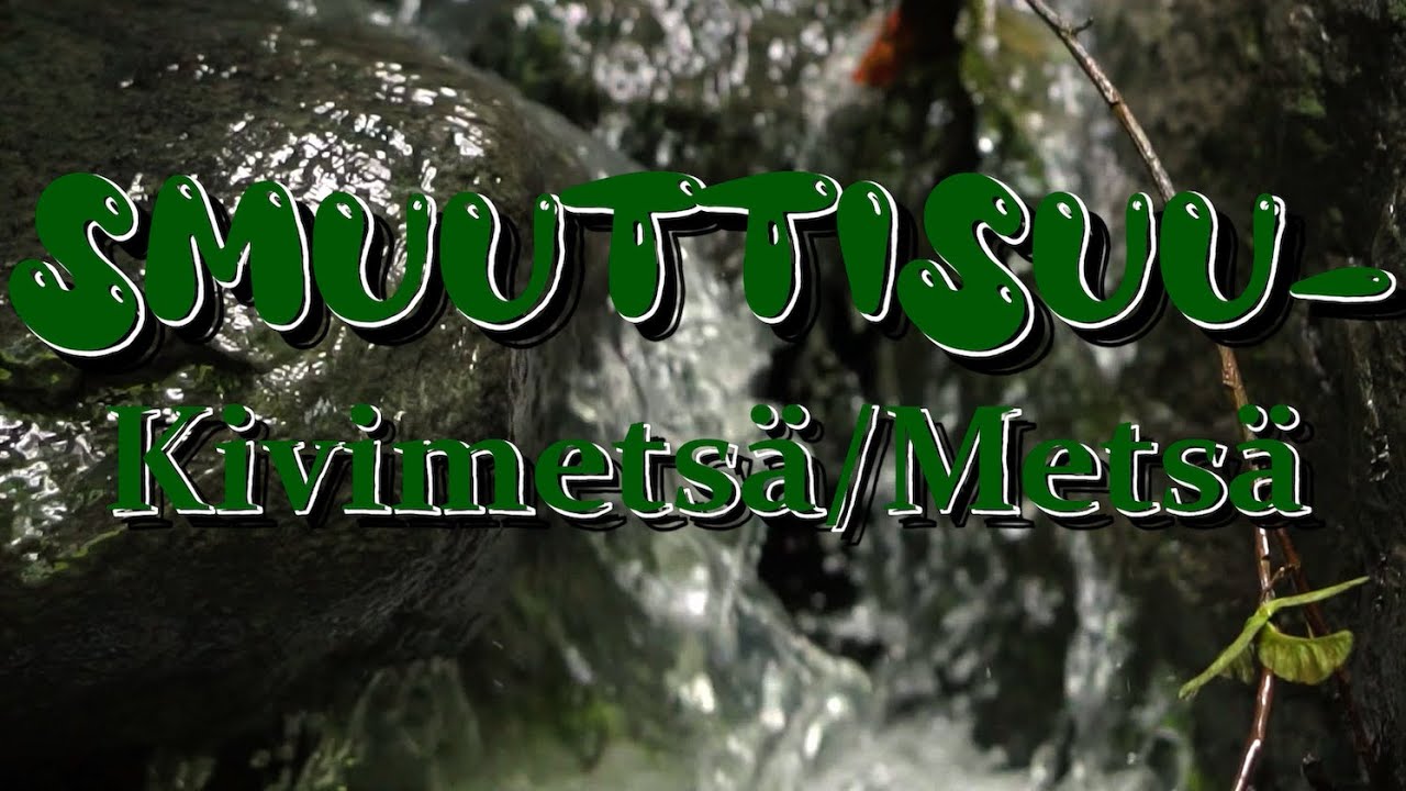Smuuttisuu - Kivimets&auml;/Mets&auml;