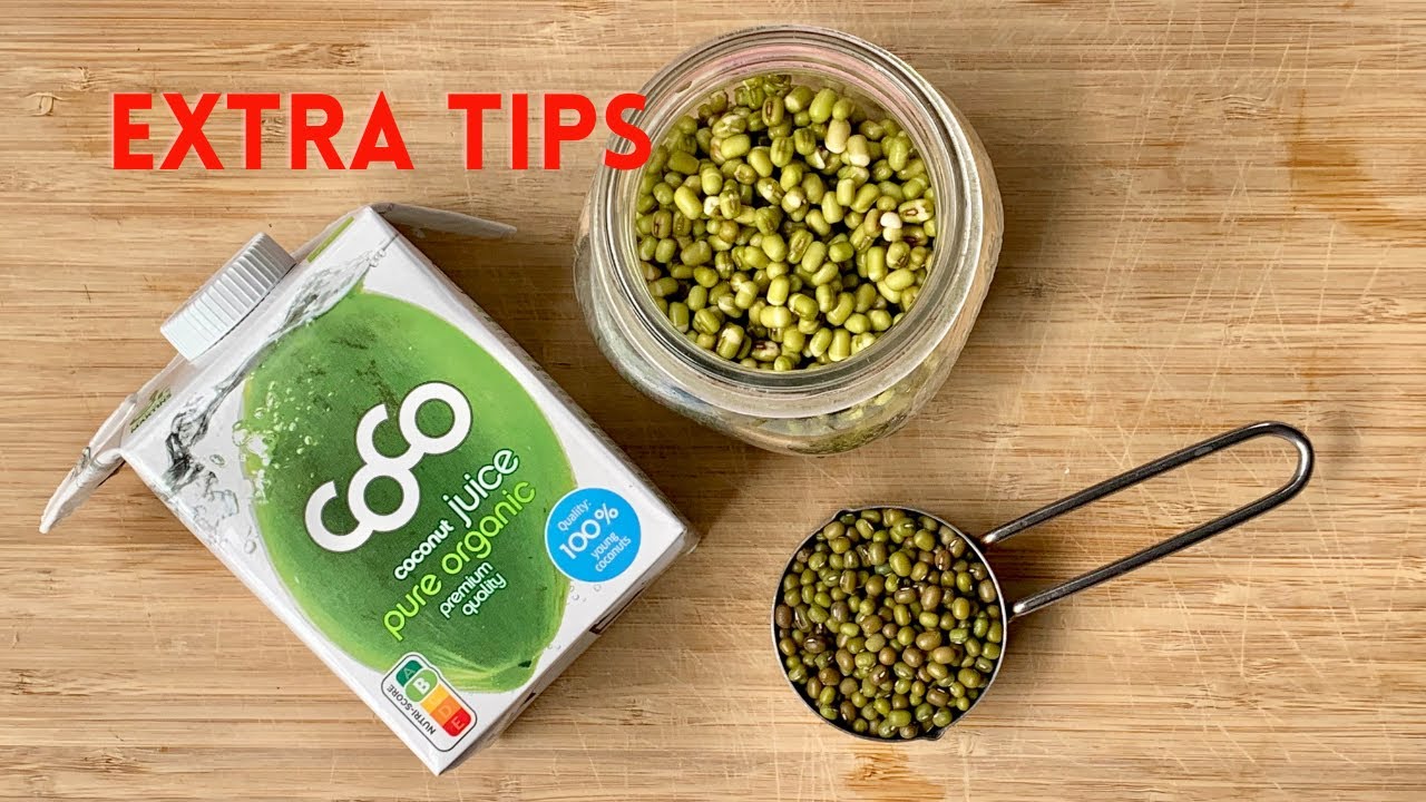 EXTRA TIPS ON HOW TO GROW MUNG SPROUTS IN A CARTON FROM START TO FINISH