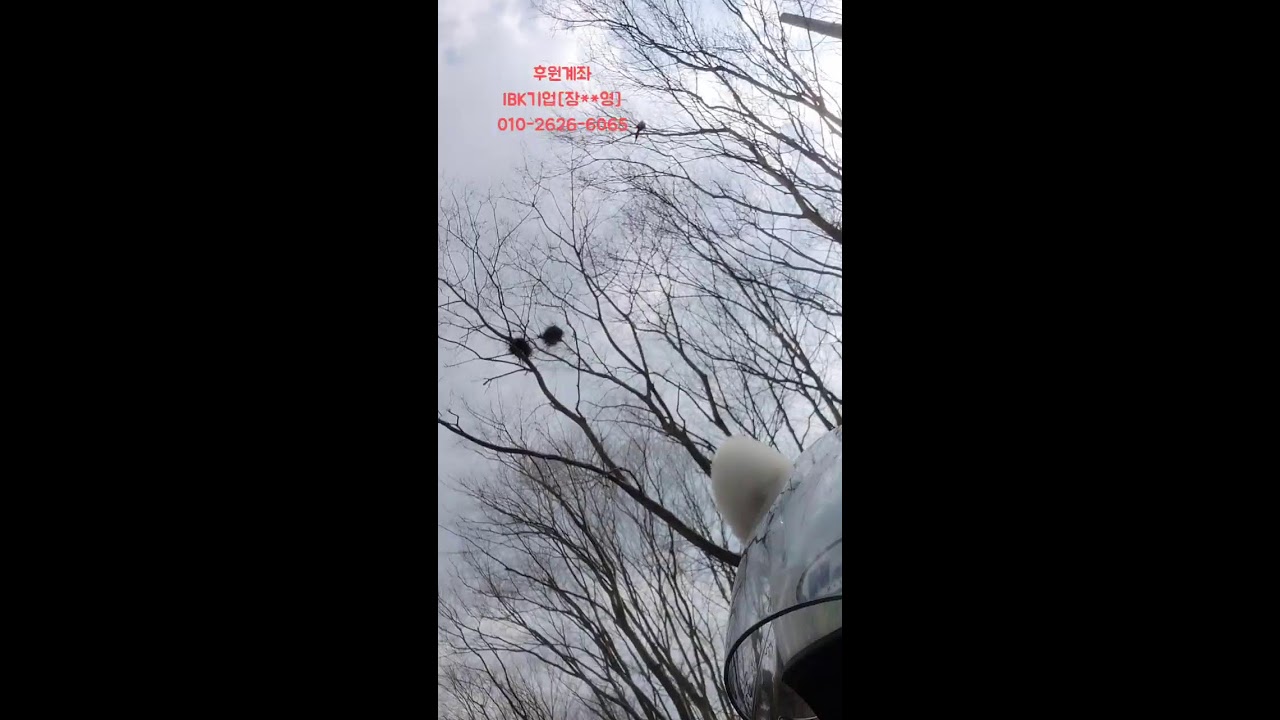 배달(배민) 하는 여성라이더 이야기 _ 로드러너 반드시 OUT