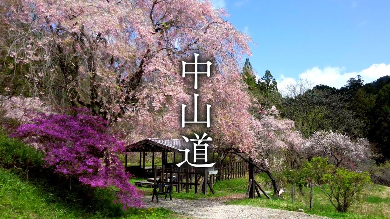 【中山道を歩く】馬籠宿～妻篭宿まで｜Nakasendo 4K