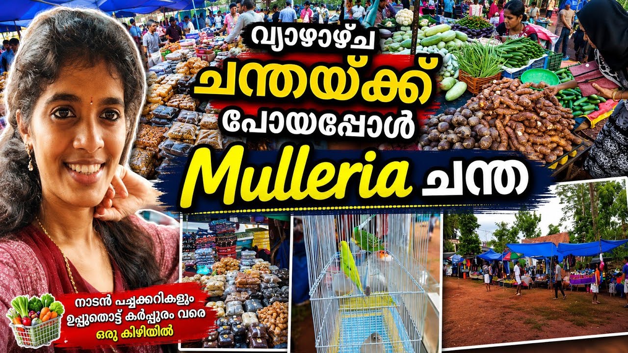 When He Went To The Chandha In Mulleria|Mulleria Chandha|Chandha Vlog|Mulleria Market 🛍️|Mulleria