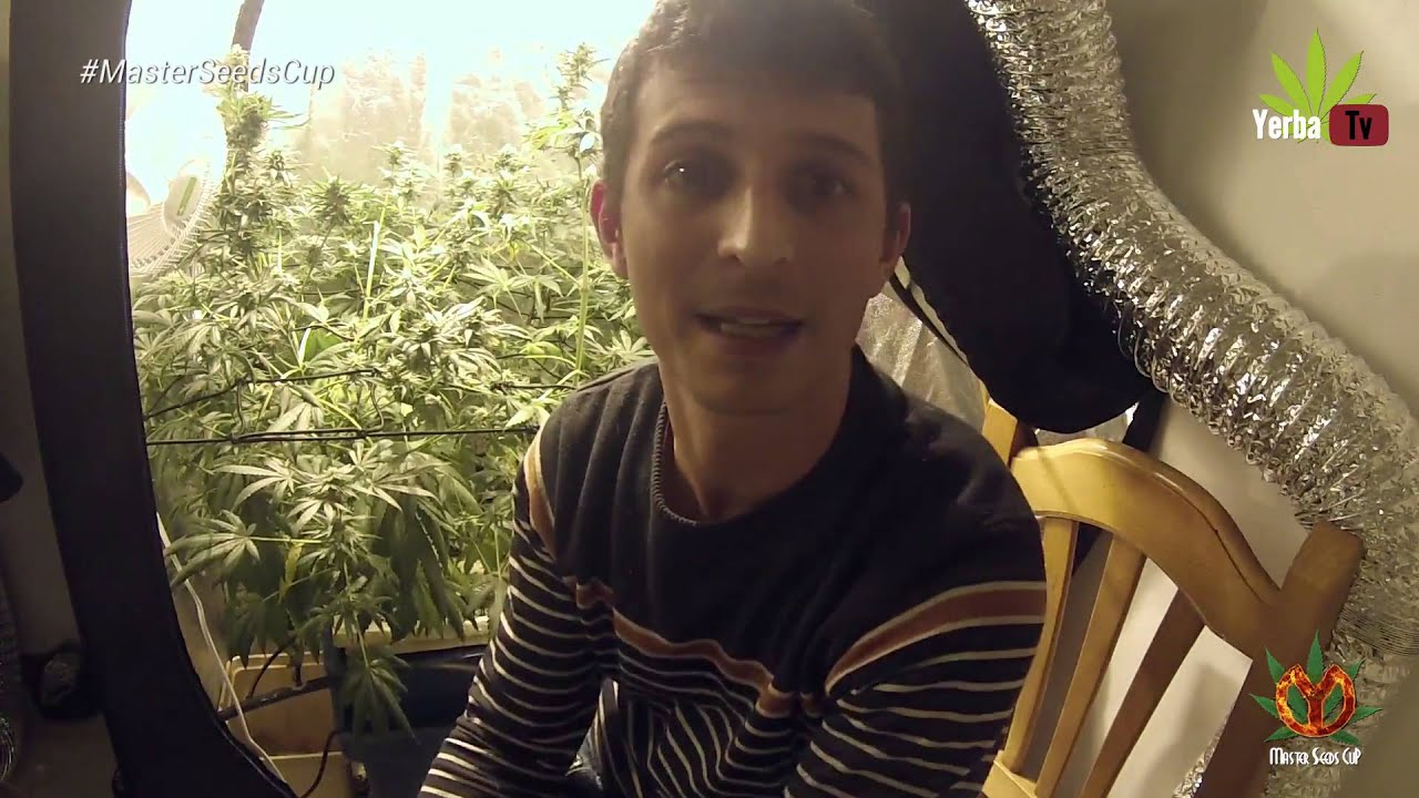 Capítulo 6 German Gonzalez Seguimiento Cultivo Aeropónico #MasterSeedsCup 2015 2016