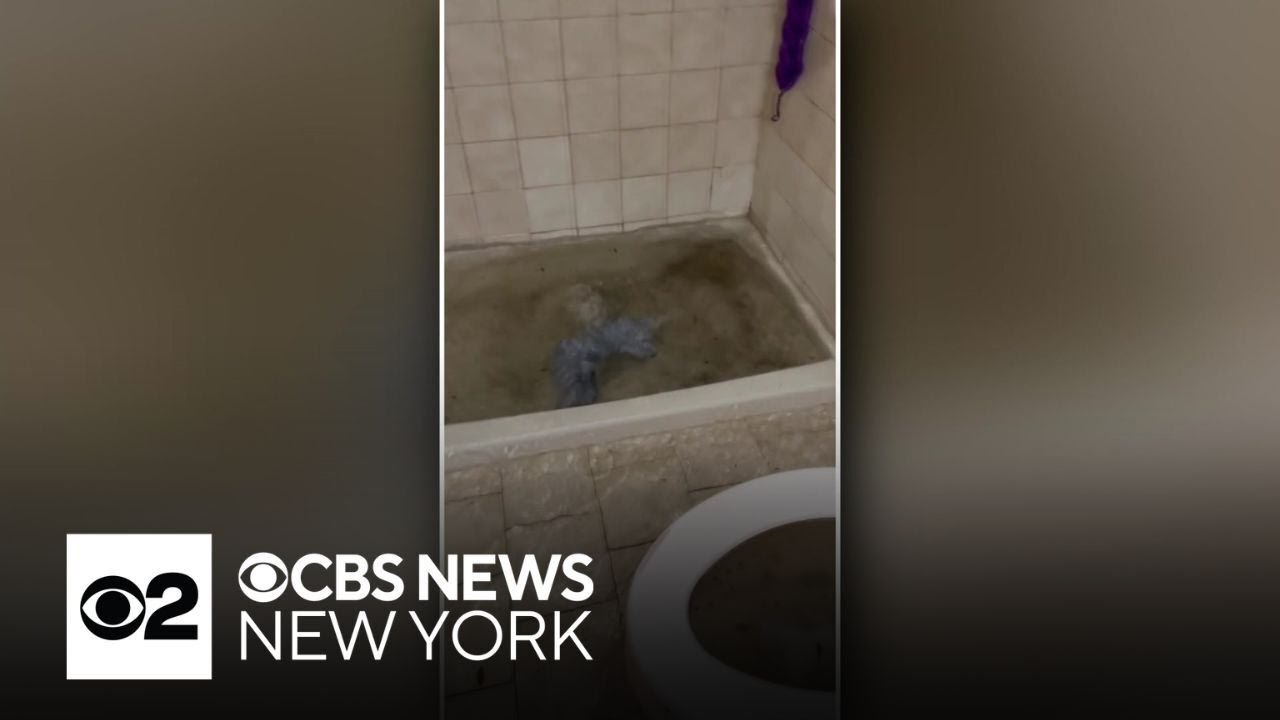 DEP inspects sewer lines of Queens residents dealing with raw sewage in homes