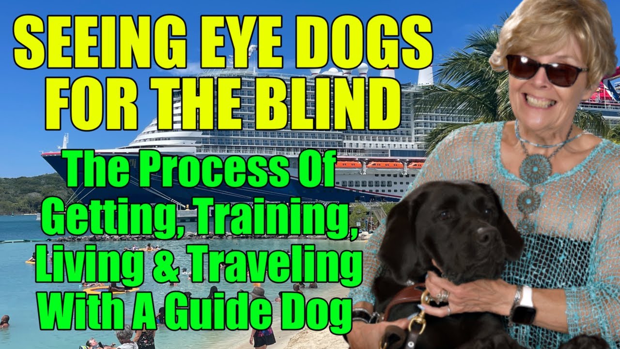 Guide Dogs for the Blind - How To Get, Train and Travel with a Seeing Eye Dog