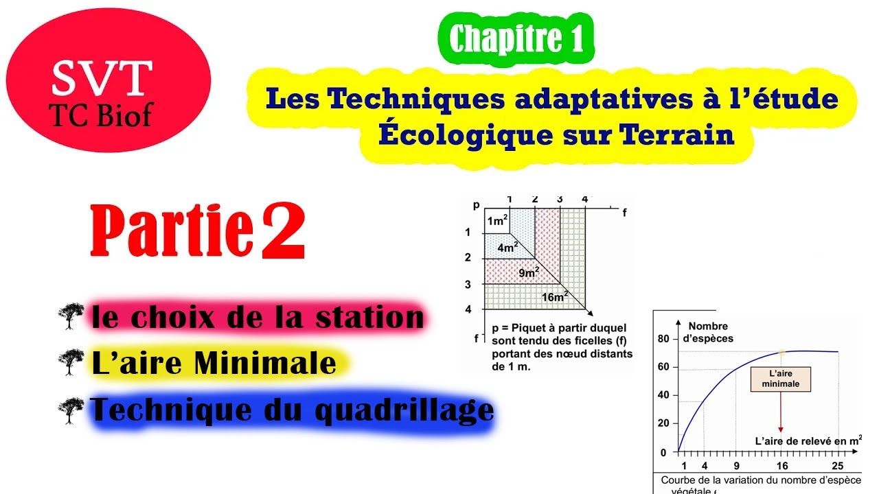 Techniques adaptatives à l’étude Écologique sur Terrain | Part  2 | L'air minimale | SVT | Cfacile
