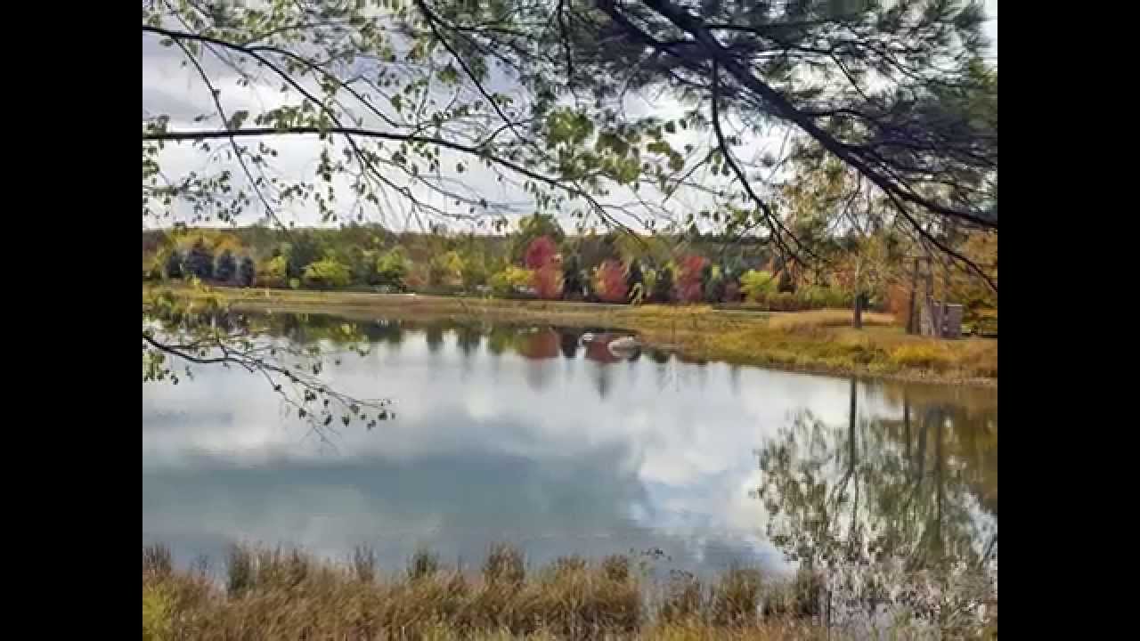 Changing Colors at the Morton Arboretum
