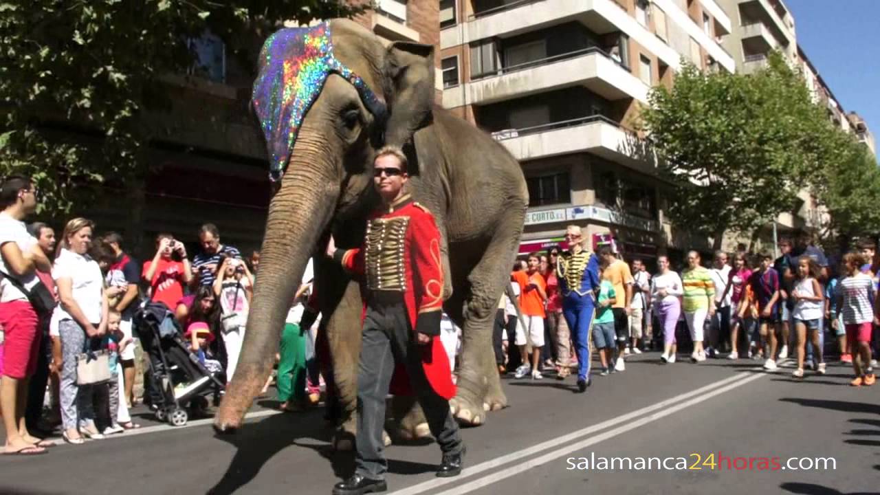 Desfile del Gran Circo Holiday