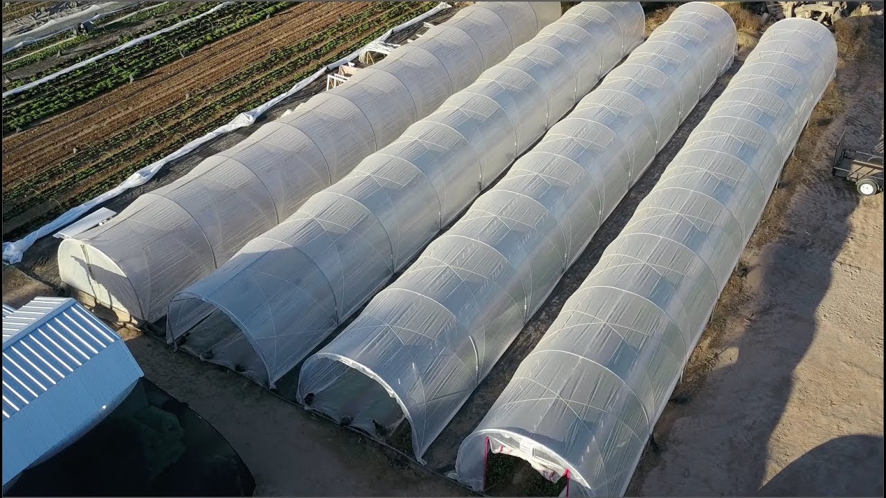 I love these caterpillar tunnels!