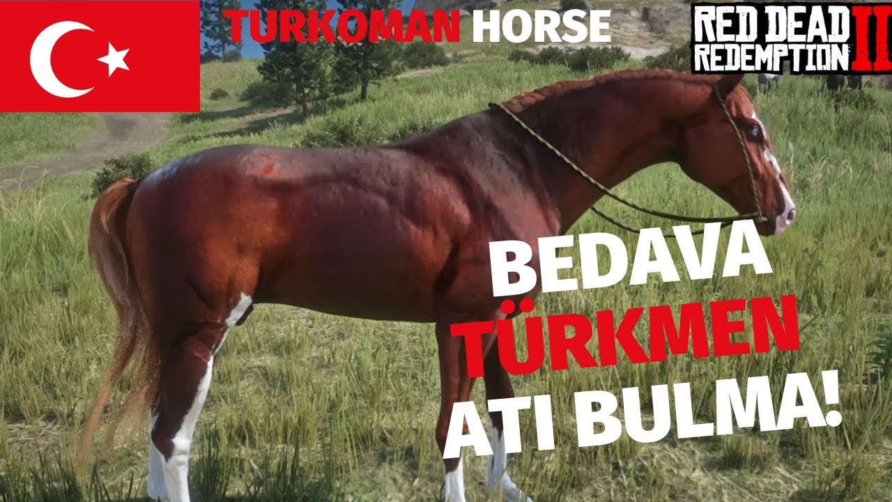 RDR2| Red Dead Redemption2 TÜRKMEN ATINI BULDUK BEDAVA ALDIK ''ÇALDIKTA DENİLEBİLİR''(TURKOMANHORSE)