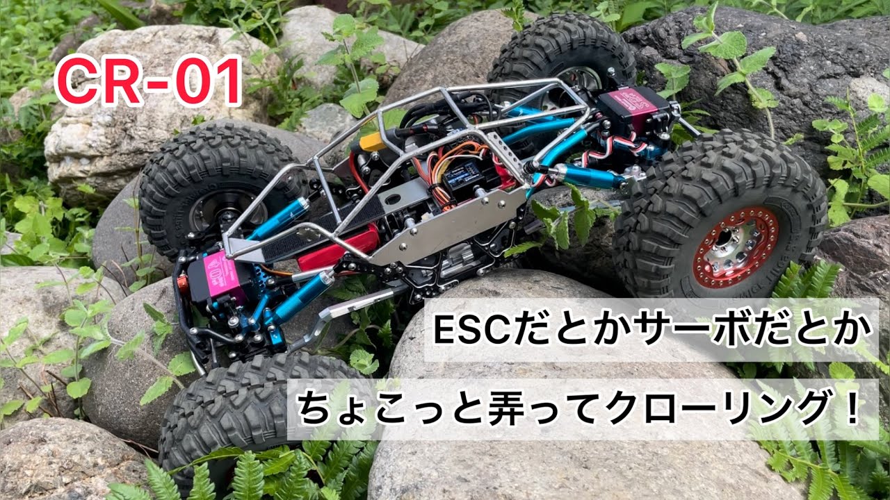 【CR-01】MAMBA Micro Xとか40キロサーボとか、ちょこっと弄ってクローリング！