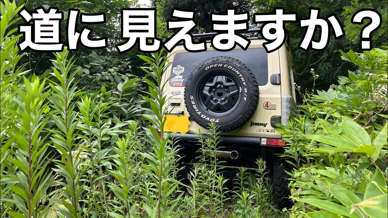 【ジムニー名もなき林道】草多すぎて草　JB64