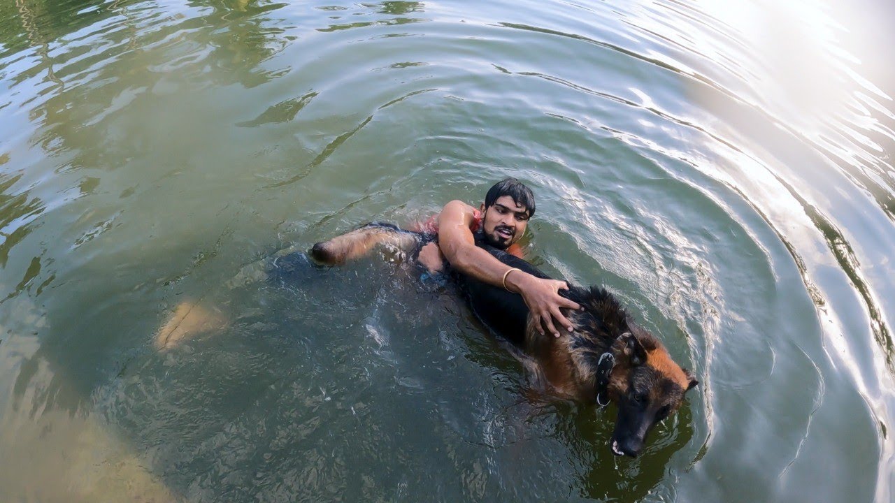 தண்ணிக்குள்ள குதிக்க வேண்டியது தான்😂! 🌊 Bath with Jacky | German Shepherd