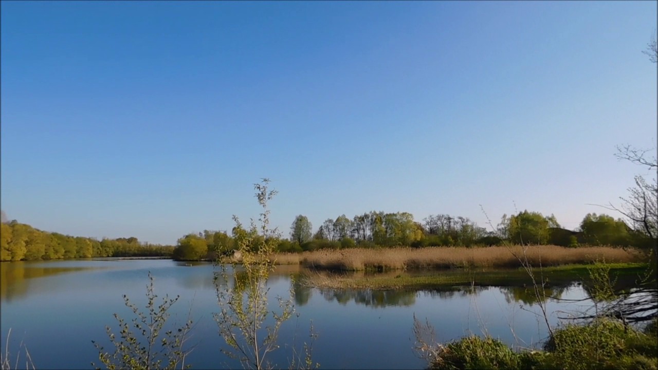 La gravière aux oiseaux de Mably [La Roannaise]