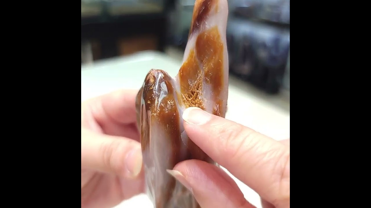 木化 玉: 也叫 #樹化玉, #木化玉 是 #玉化 的 #矽化木. 只此一件, 珍貴的天然 #緬甸木化玉 原礦擺件 #緬甸玉