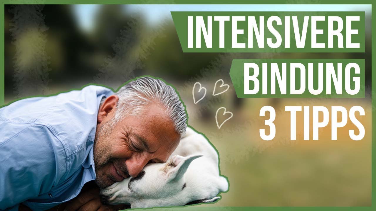 3 TIPPS f&uuml;r eine intensive Mensch-Hund-Beziehung! ❤️ Das solltest Du beachten!