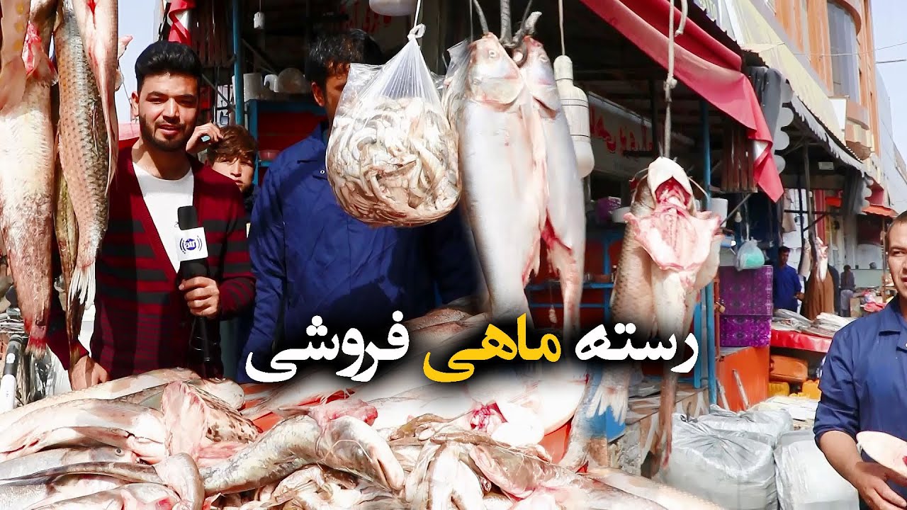#ArianaMazar - Special report from Fish Fry row / گزارش ویژه از رستۀ ماهی پزی در مزارشریف