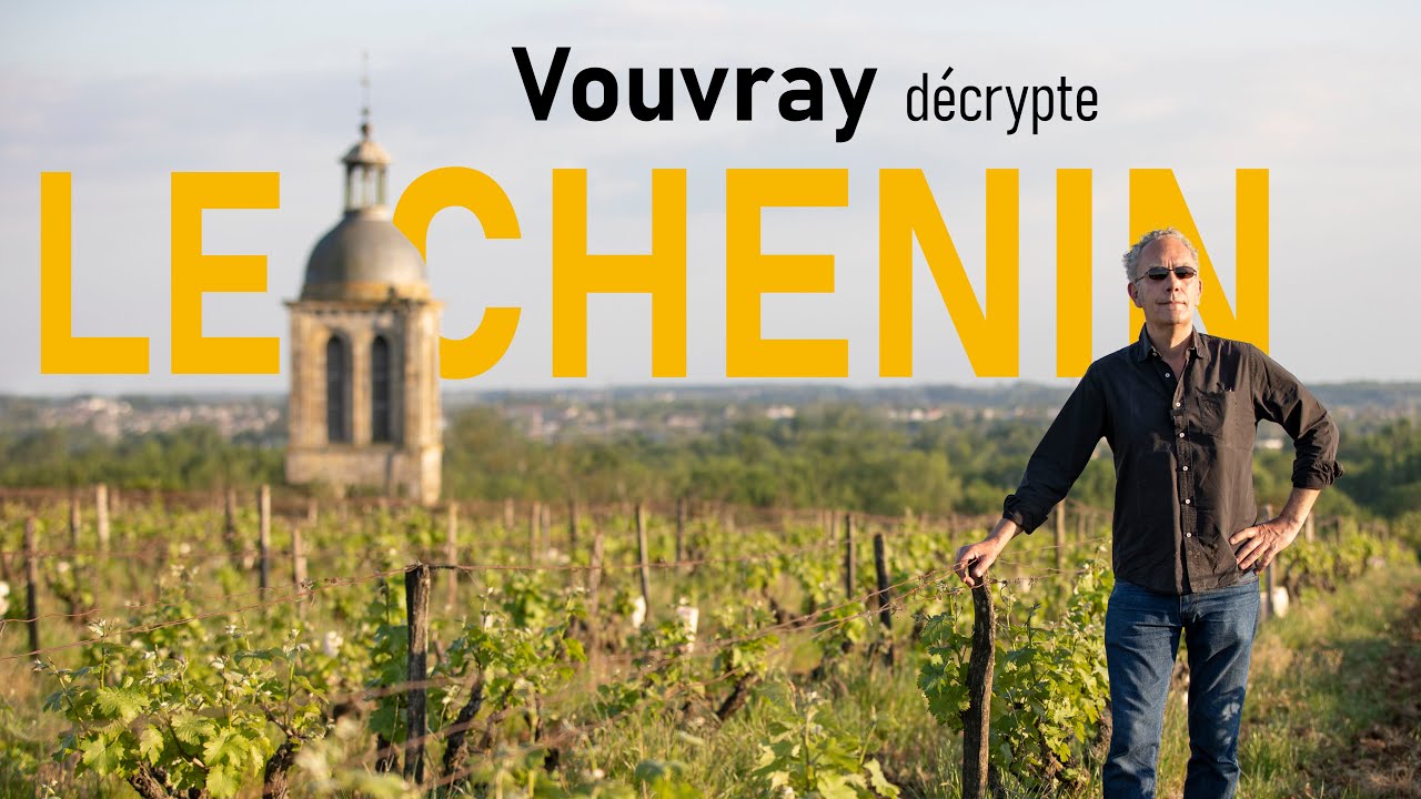 Vouvray décrypte : Le Chenin