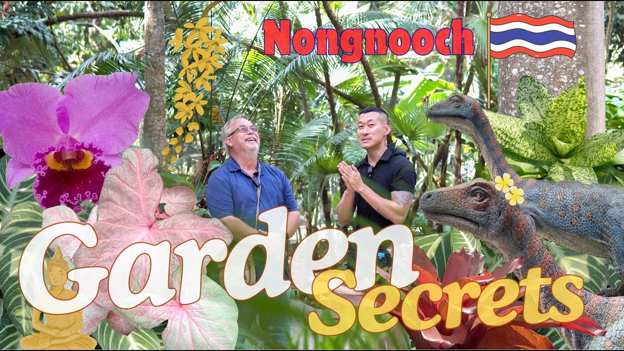 Brilliant Park Operation & Stunning Landscapes | Bromelia Bougainvillea | Nong Nooch Ep. 2