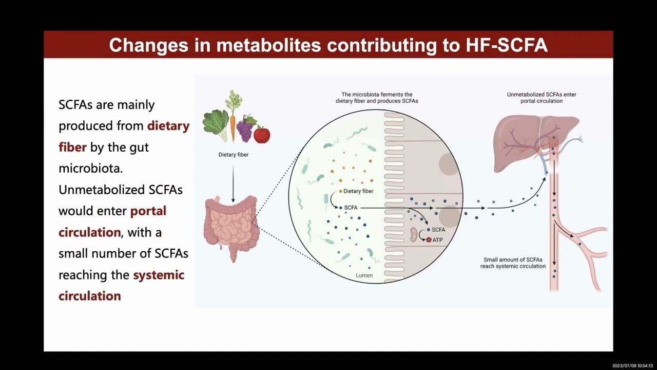 iMeta | Gut microbiota in heart failure and related interventions