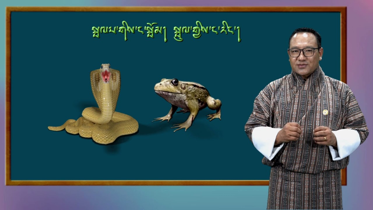 རྫོང་ཁའི་དཔེ་གཏམ་ ༤༨ པ། Dzongkha Proverb 48