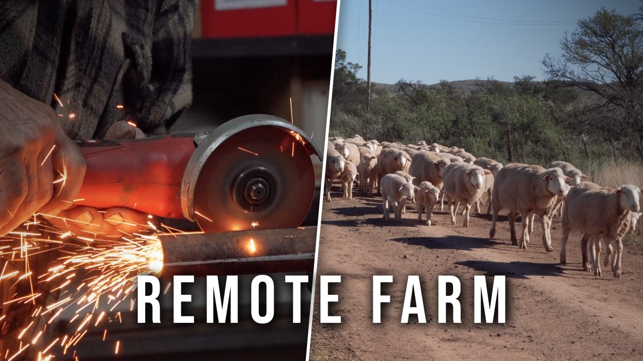 Living Off-Grid in the South African Desert: A Day on Our Remote Farm