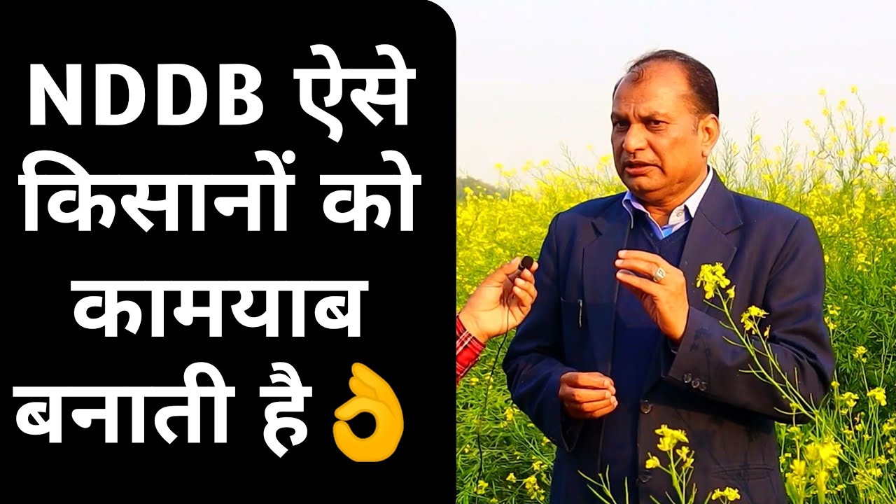 जाने क्या है NDDB DAIRY SERVICES || MD of NDDB Dairy Services, Dr. Omveer Singh