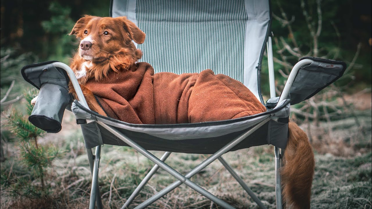 The only DOG COATS you will EVER NEED