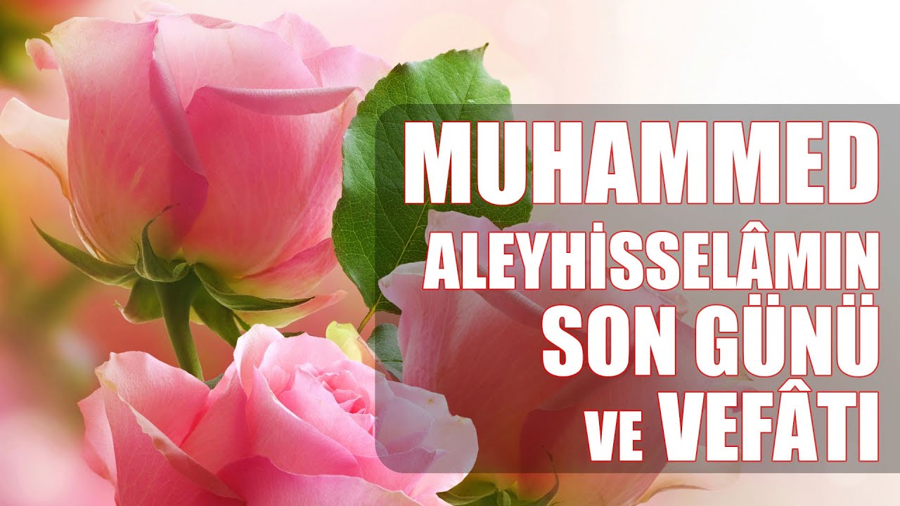 Muhammed aleyhisselâmın son günü ve vefatı