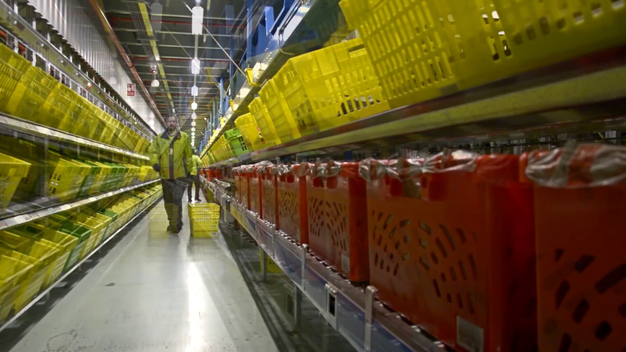 Ocado Case Study