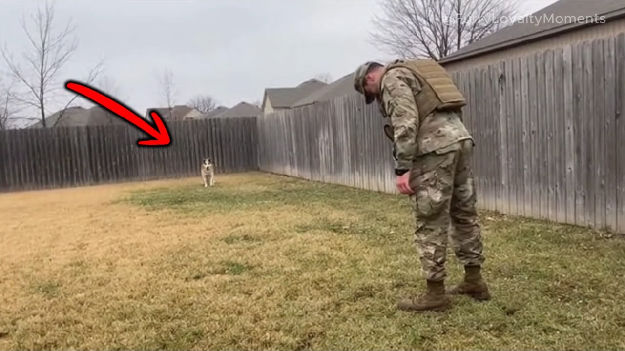 😭 Silent Standoff… Then the Dog Loses Control When Soldier Comes Home!
