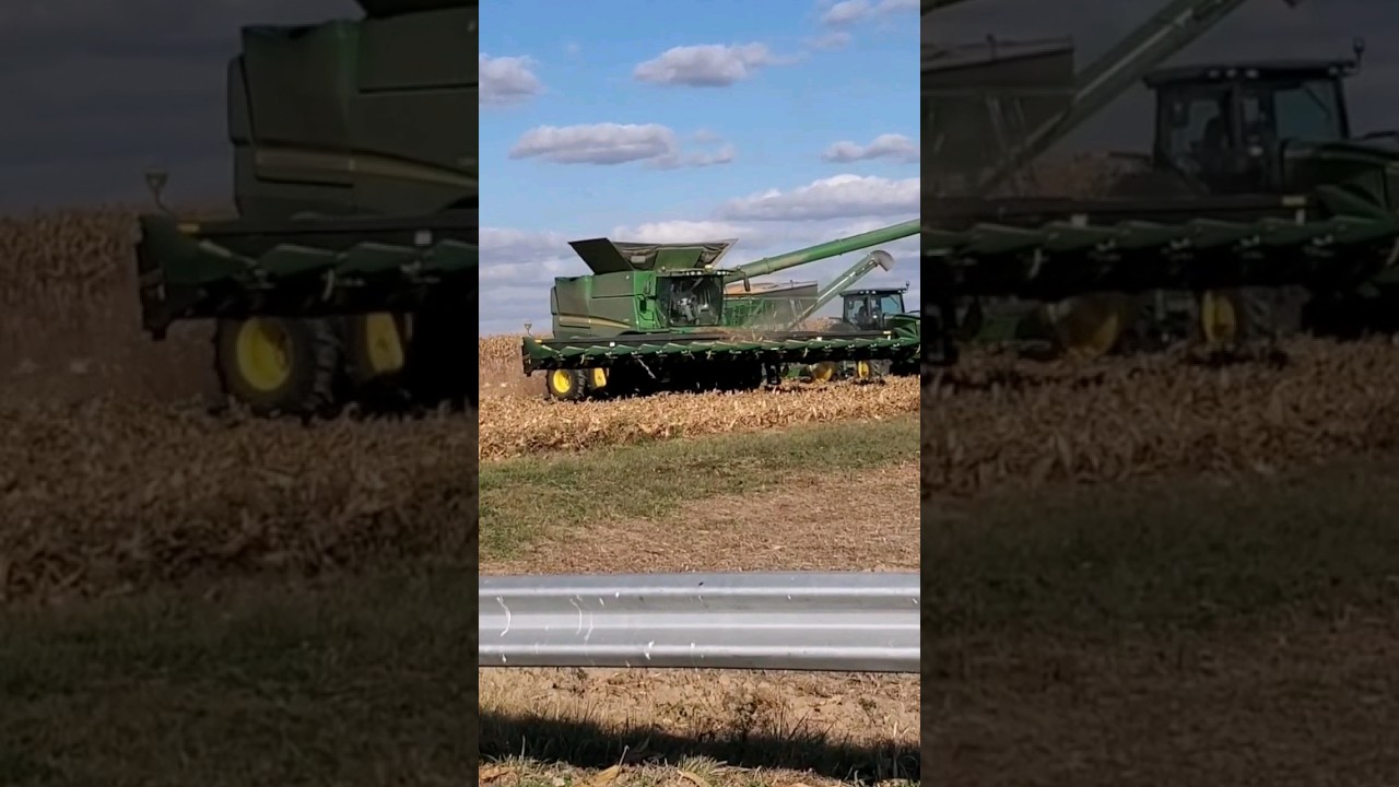 CORN HARVEST 🌽 16 ROW CORN HEAD   
