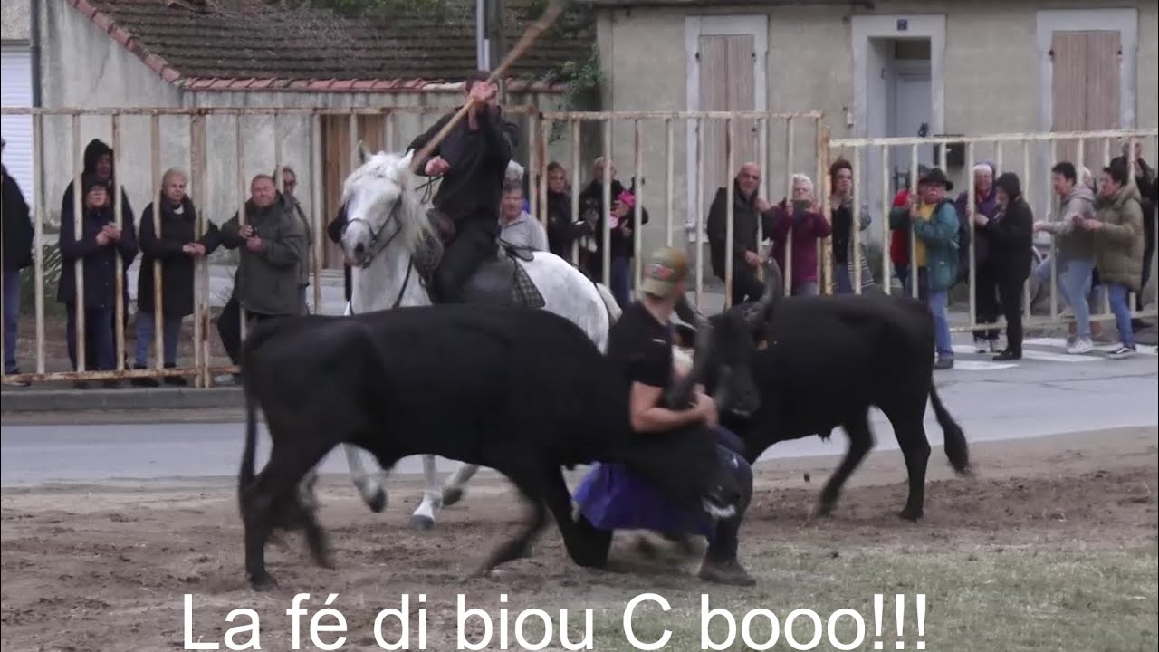 Aigues-Mortes ▶Bandido + Attrapaïres aux city stade◀ 07.10.2024.