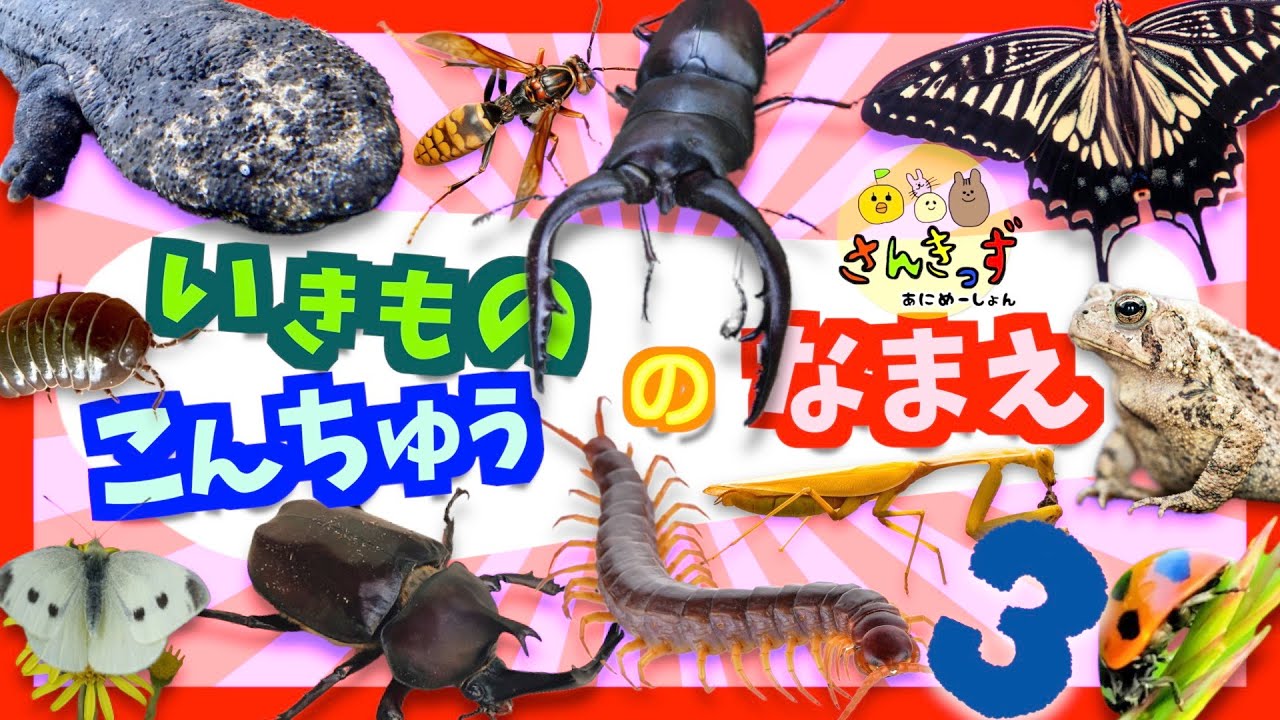 【子供向け 昆虫アニメ】昆虫や無脊椎動物など生き物の名前を覚えようpart3★ダンゴムシ、カブトムシ、カタツムリなど人気のいきもの18種が大集合！【こんちゅう 虫さん 生き物の知育動画】昆虫館
