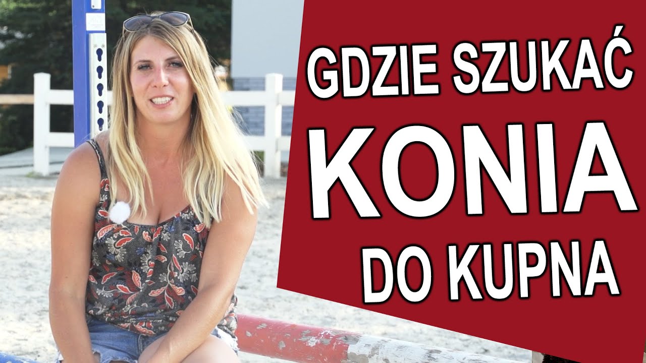 Gdzie szukać konia do kupna?