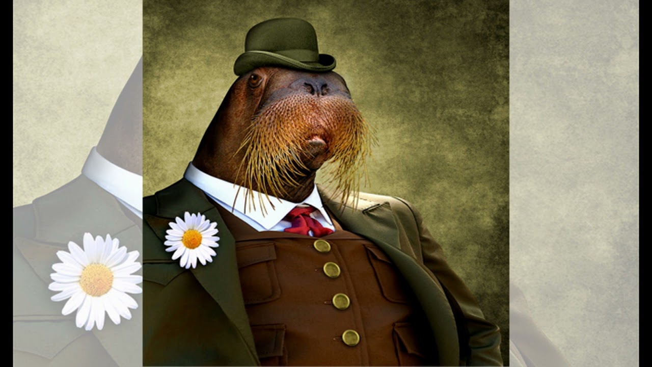 Androcell - Fib - full album (2021)