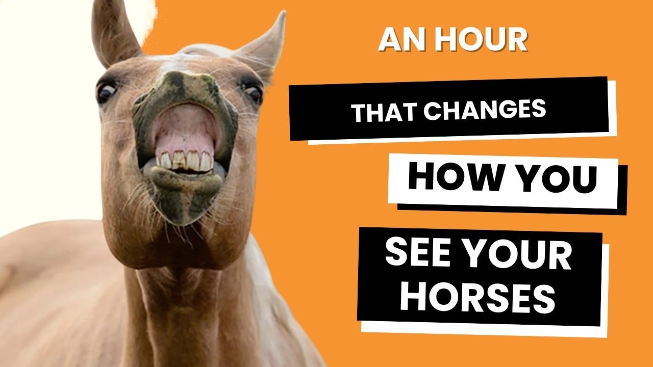 An hour that changes how you see horses forever