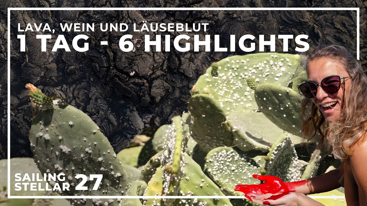 LAVAGESTEIN WEIN UND LÄUSEBLUT - 1 TAG UND 6 HIGHLIGHTS AUF LANZAROTE
