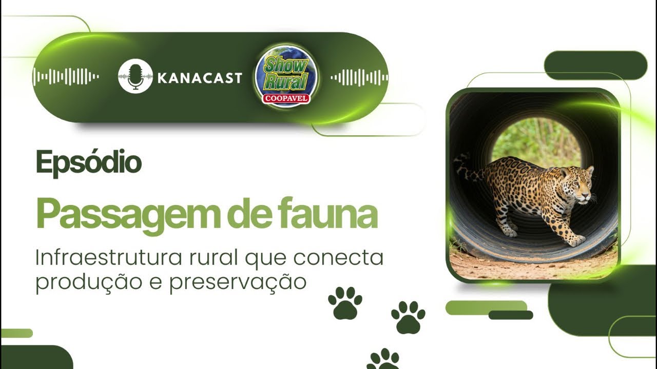 Passagem de fauna: infraestrutura rural que conecta produção e preservação
