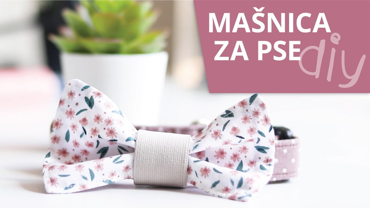 DIY: mašnica za pse