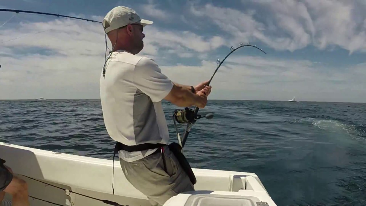 Cape Cod Bluefin Tuna Trip 2016