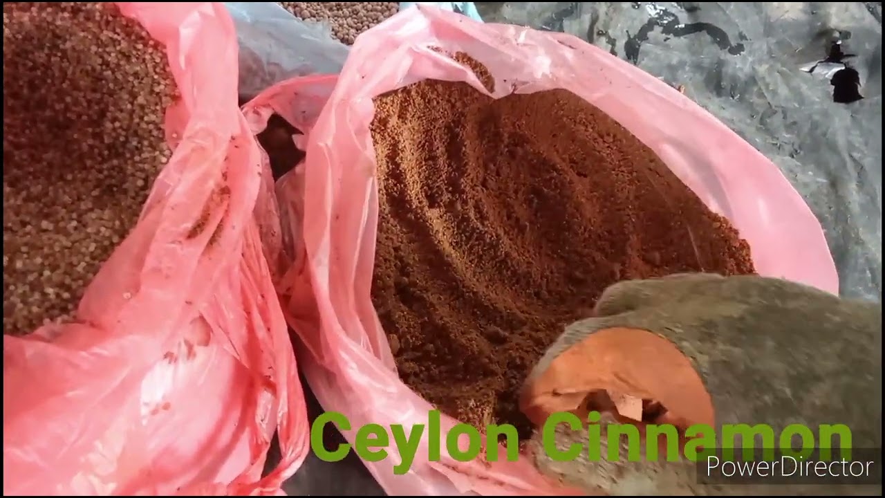 කුරුඳු වගාවට සුදුසු පොහොර වර්ග තුනක් පිලිබඳ විස්තරාත්මක විඩීයෝව