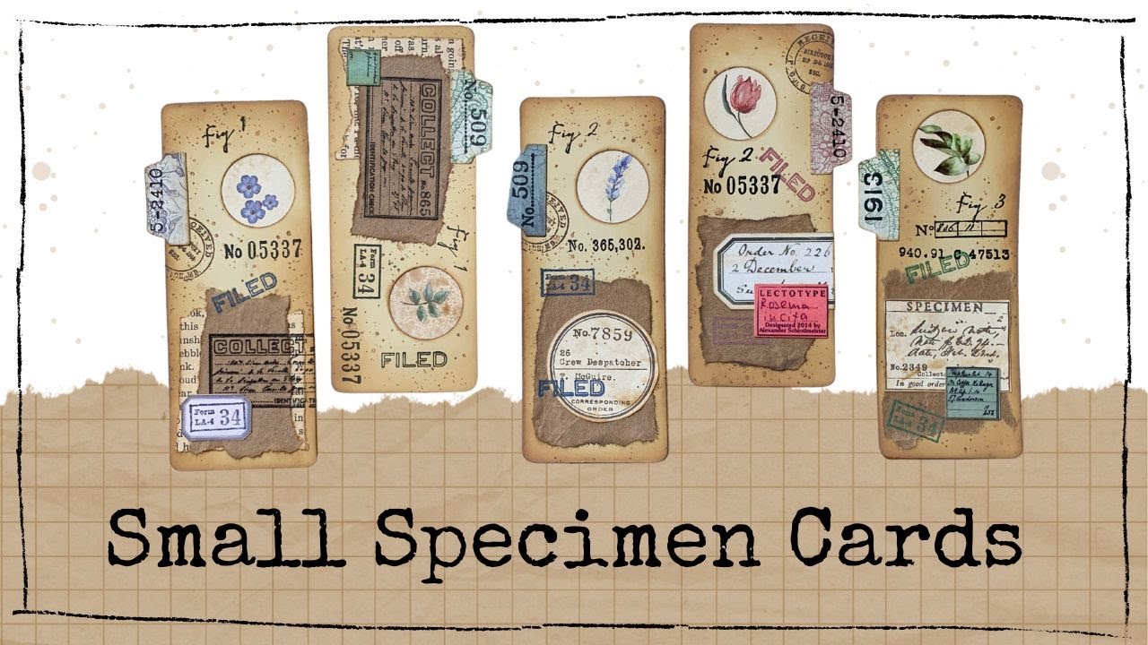 Small Specimen Cards for your Junk Journal
