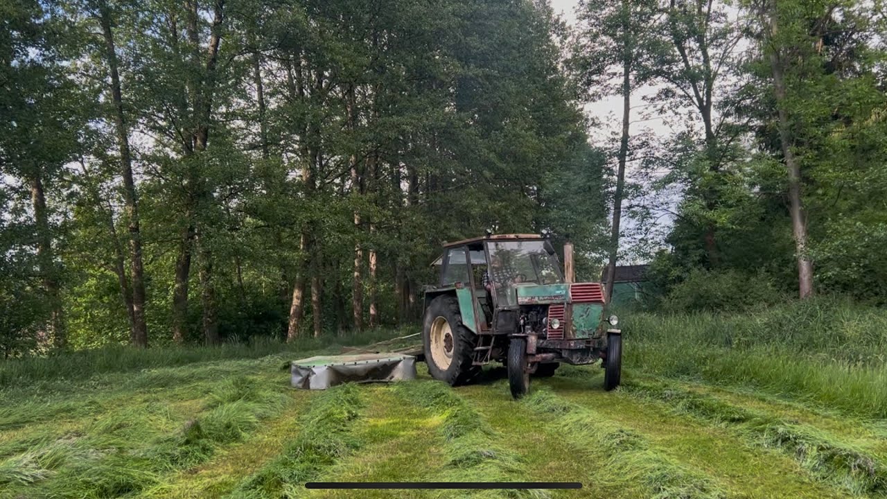 80tka Pośród Drzew i Łąk🔥Czyli Koszenie Łąk w GR. Marchewka🔥 Ursus 🔥