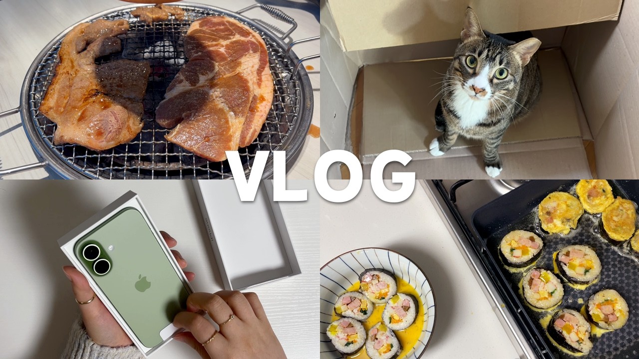 [VLOG] 놀고먹기만 하는 일상 브이로그 | 아이폰 17 세이지 언박싱