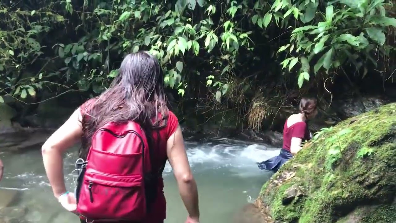 Amazonia Ecuatoriana 