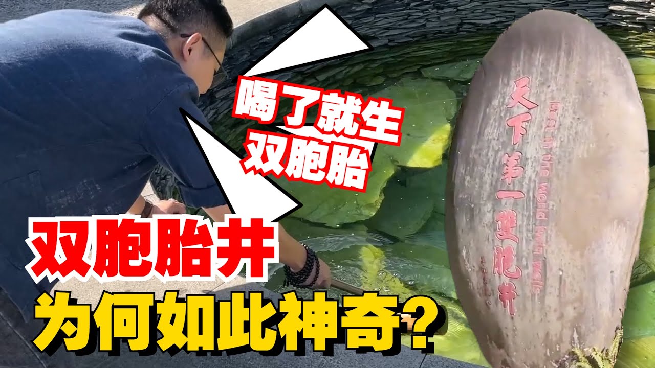 双胞胎之乡：双胞胎井竟如此神奇？到底是水的原因还是另有渊源？购茶请添加微信/赖line2号店：HDLG002（同号，搜索即可）#普洱茶 #茶文化 #普洱茶要怎么泡 #古树茶